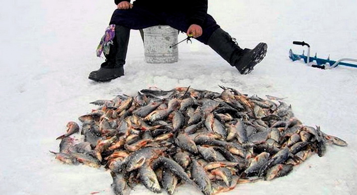 Первый лед 2021-2022 ЗЛЫЕ ПОКЛЁВКИ окуня на безмотылку! Рыбалка зимой