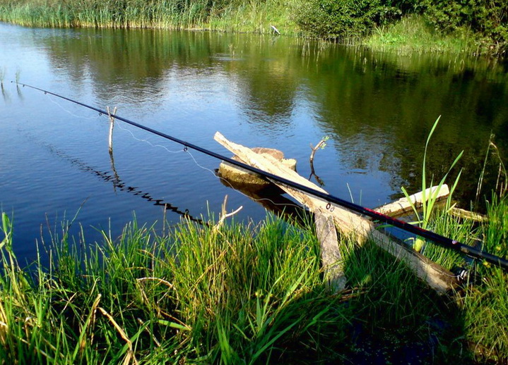 Удочка для рыбалки на водоеме
