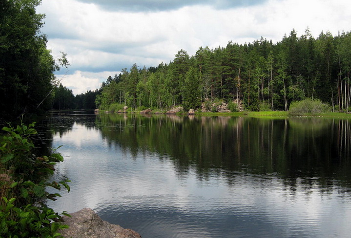 Заросшее лесное озеро с каменистым дном - окуневый водоем