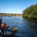 Влияние уровня воды на клев рыбы