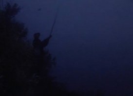 ночная ловля фидером